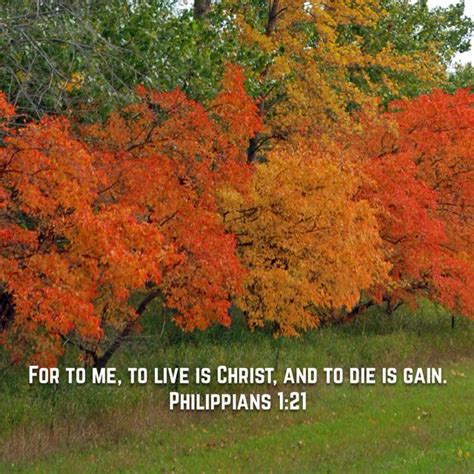 philippians 1 nkjv|Philippians 1:1–7 NKJV .